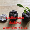 Sadbovače na v&yacute;robu zdrav&eacute; sadby