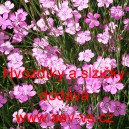 Hvozd&iacute;ky a slzičky Mix