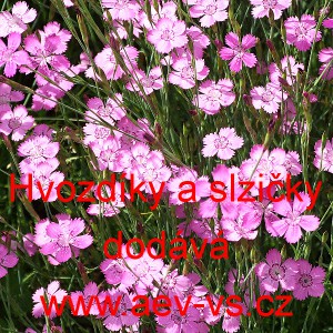 Hvozd&iacute;ky a slzičky Mix