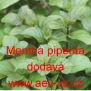 M&aacute;ta peprn&aacute;