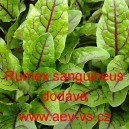 &Scaron;ťov&iacute;k krvav&yacute;