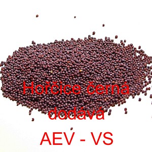 Hořčice čern&aacute; cel&aacute;