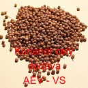 Koriandr cel&yacute;