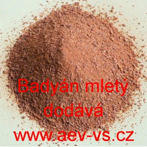Bady&aacute;n mlet&yacute;