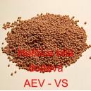 Hořčice b&iacute;l&aacute;