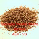 Saturejka horsk&aacute; drcen&aacute;