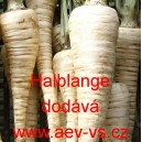 Petržel kořenov&aacute; Halblange