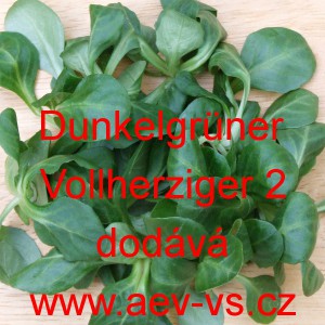 Kozl&iacute;ček poln&iacute;ček Volhart 3