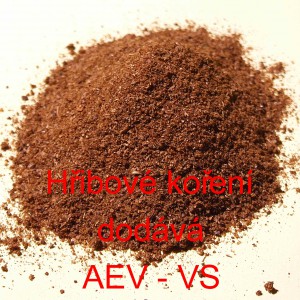 Hřibov&eacute; kořen&iacute;