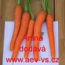 Mrkev obecn&aacute; poloran&aacute; Anina