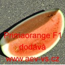 Meloun vodn&iacute; hybridn&iacute; Primaorange F1