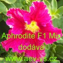 Pet&uacute;nie velkokvět&aacute; třepenit&aacute; Aphrodite F1 Mix