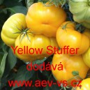 Rajče tyčkov&eacute; paprikov&eacute; žlut&eacute; Yellow Stuffer