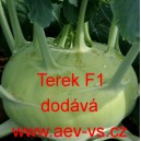 Kedluben b&iacute;l&yacute; hybridn&iacute; Terek F1