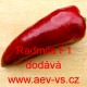 Paprika roční zeleninová hybridní Radmila F1
