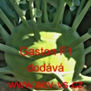 Kedluben b&iacute;l&yacute; hybridn&iacute; Gaston F1