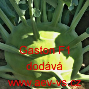 Kedluben b&iacute;l&yacute; hybridn&iacute; Gaston F1