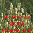 Třeslice vět&scaron;&iacute;