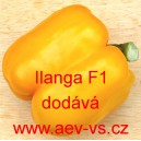 Paprika ročn&iacute; zeleninov&aacute; hybridn&iacute; Ilanga F1