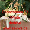 Kysala bolivijsk&aacute; převisl&aacute; Copacabana White F1