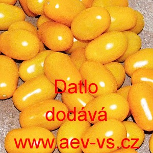 Rajče tyčkov&eacute; Datlo