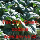 Č&iacute;nsk&eacute; zel&iacute; Pak Choi Green