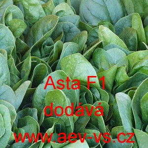 &Scaron;pen&aacute;t set&yacute; zeln&yacute; hybridn&iacute; Asta F1