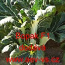 Č&iacute;nsk&eacute; zel&iacute; hybridn&iacute; Bopak F1