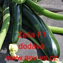 Tykev obecn&aacute; cuketa hybridn&iacute; Zelia F1