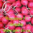 Ředkvička hybridn&iacute; Roxanne F1