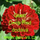 Ost&aacute;lka sličn&aacute;, lep&aacute; Giant Deep Red