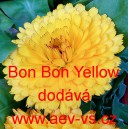 Měs&iacute;ček l&eacute;kařsk&yacute; Bon Bon Yellow