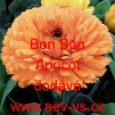 Měs&iacute;ček l&eacute;kařsk&yacute; Bon Bon Apricot