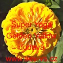 Ost&aacute;lka sličn&aacute;, lep&aacute; Super Yoga Golden Yellow