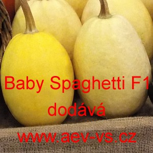 Tykev obecn&aacute; &scaron;pagetov&aacute; Baby Spaghetti F1