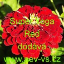 Ost&aacute;lka sličn&aacute;, lep&aacute; Super Yoga Red
