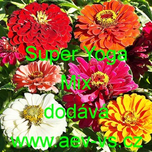 Ost&aacute;lka sličn&aacute;, lep&aacute; Super Yoga Mix