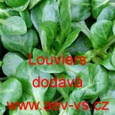 Kozl&iacute;ček poln&iacute;ček Louviers