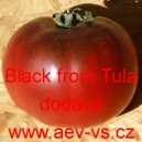 Rajče tyčkov&eacute; Black from Tula