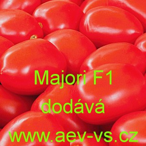 Rajče tyčkov&eacute; hybridn&iacute; Majori F1