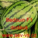 Meloun vodn&iacute; hybridn&iacute; Bedouin F1