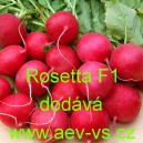 Ředkvička hybridn&iacute; Rosetta F1