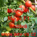 Rajče tyčkov&eacute; hybridn&iacute; Mountain Magic F1