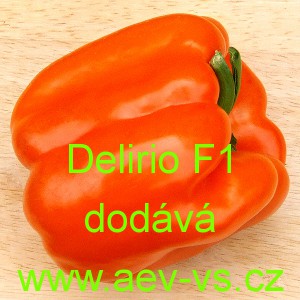Paprika ročn&iacute; zeleninov&aacute; hybridn&iacute; Delirio F1 