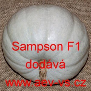 Tykev velkoplod&aacute; hybridn&iacute; Sampson F1