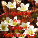 Lomik&aacute;men Arendsův Highlander White