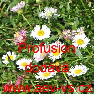 Turan Karvinsk&eacute;ho Profusion