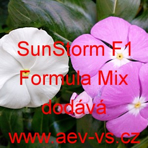 Barv&iacute;nek růžov&yacute; SunStorm F1 Formula Mix