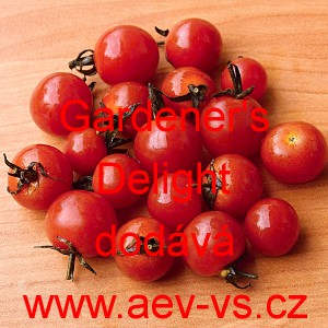 Rajče balkonov&eacute; Gardener's Delight