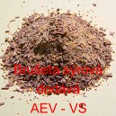 Bru&scaron;eta s&yacute;rov&aacute;